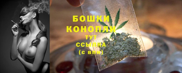 эйфоретик Осинники