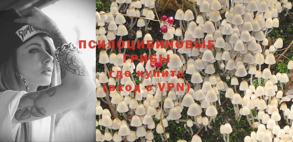 трава Няндома