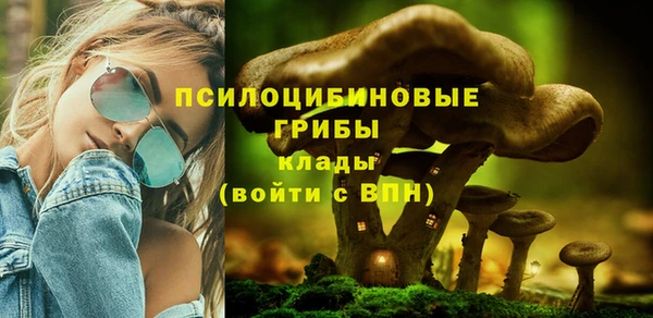 ALPHA PVP Осташков