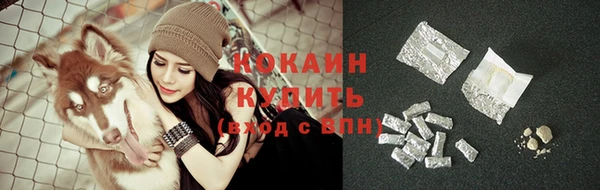эйфоретик Осинники