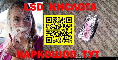 шишки Бийск