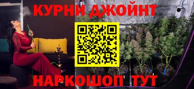 шишки Бийск