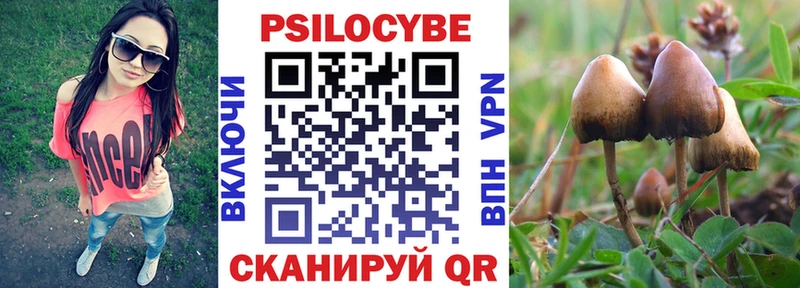 Псилоцибиновые грибы MAGIC MUSHROOMS блэк спрут ссылки Ливны