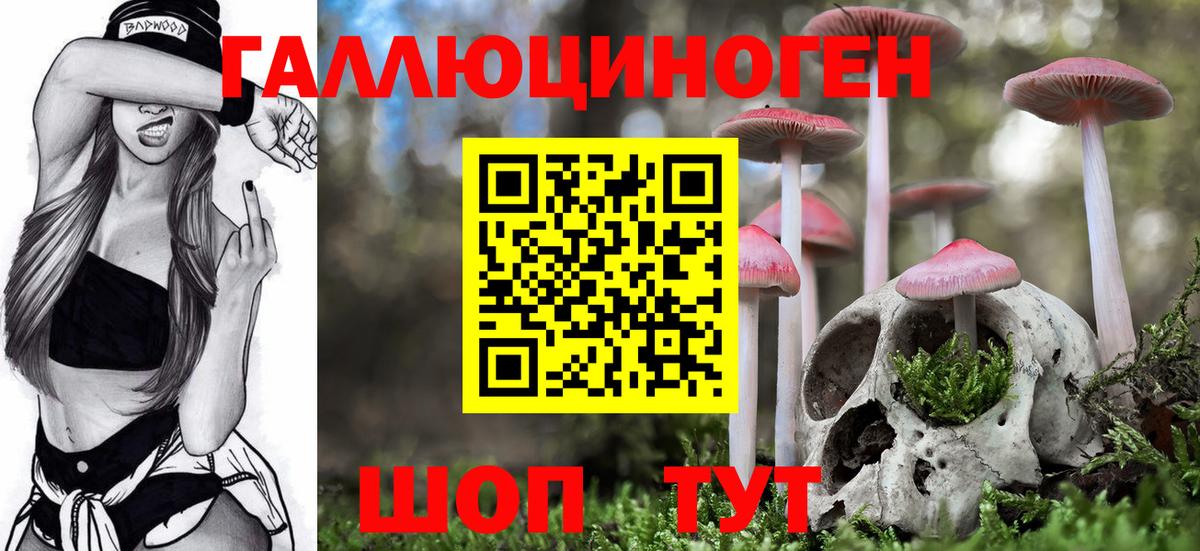 Псилоцибиновые грибы мицелий Ливны