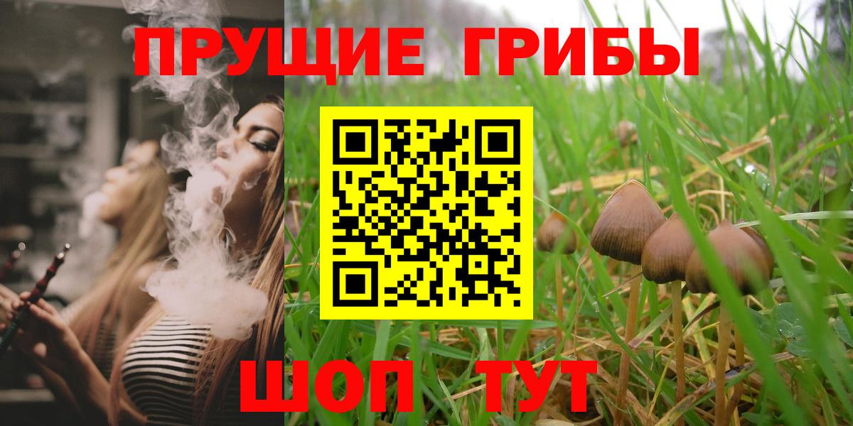 Галлюциногенные грибы MAGIC MUSHROOMS  Вход с VPN  Псилоцибиновые грибы мухоморы  Ливны 